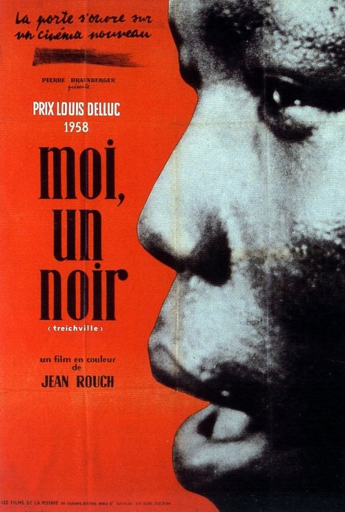 Affiche Moi, un noir