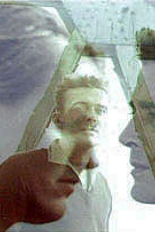 Affiche Venir du Havre