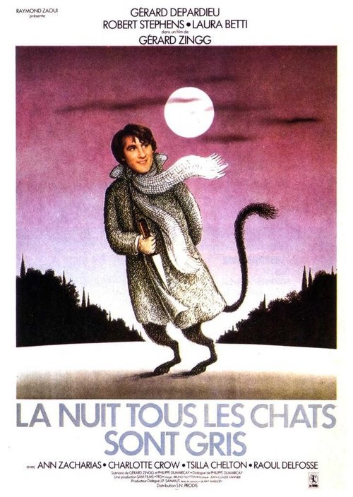Affiche La nuit, tous les chats sont gris