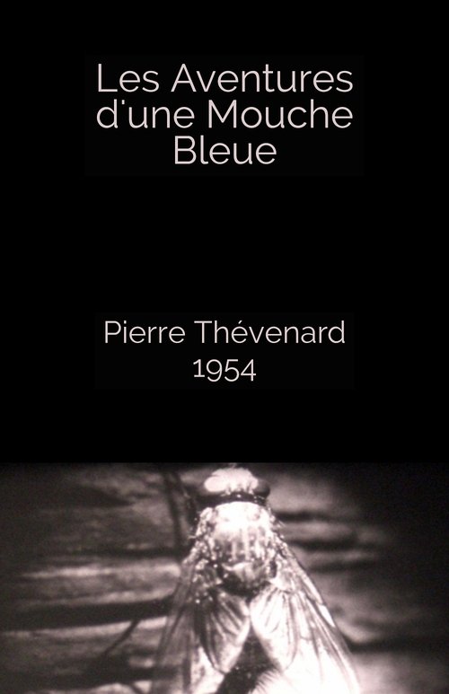 Affiche Les Aventures d'une Mouche Bleue