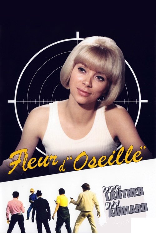 Affiche Fleur d'oseille
