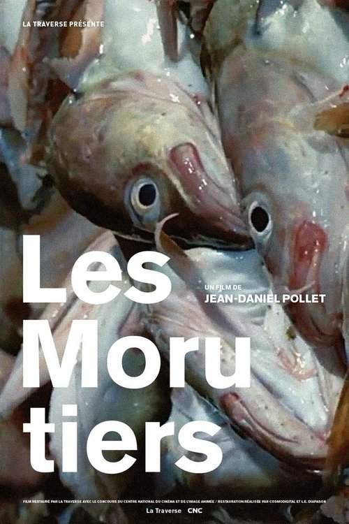 Affiche Les Morutiers