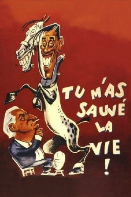 Affiche Tu m'as sauvé la vie