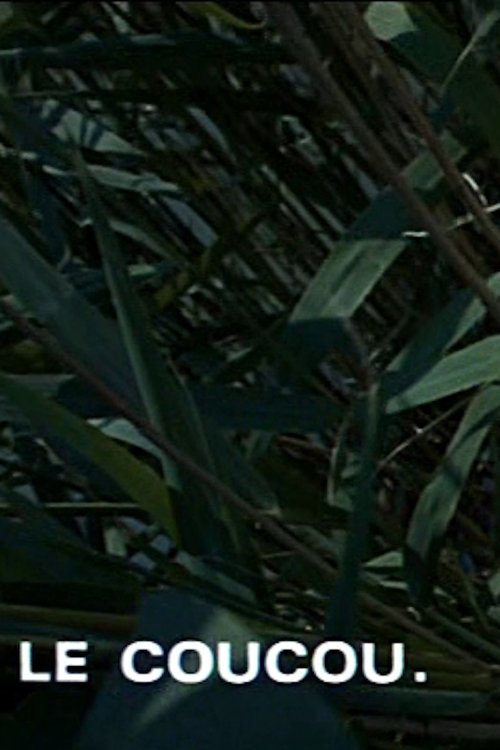 Affiche Le coucou