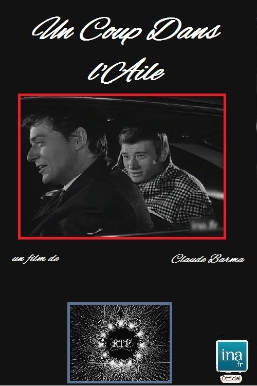 Affiche Un coup dans l'aile