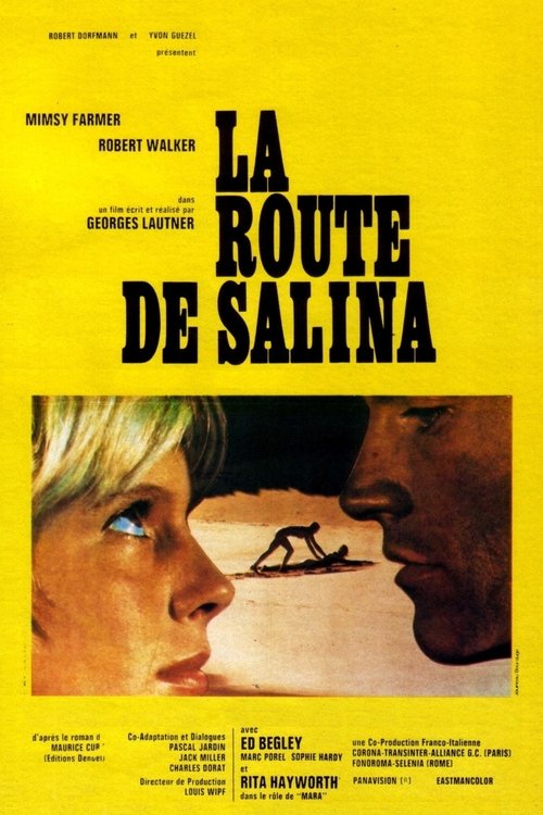 Affiche La Route de Salina