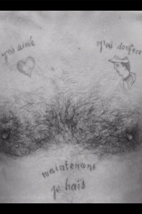 Affiche La peau du milieu