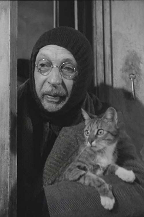 Affiche L'Homme au chats