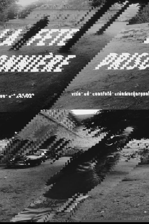 Affiche La fête prisonnière