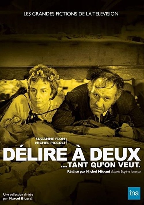 Affiche Délire à deux