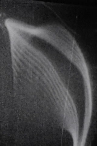 Affiche Études des solides illusoires